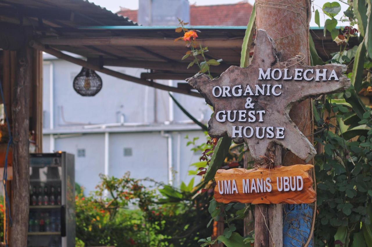 Uma Manis Ubud Ngoại thất bức ảnh